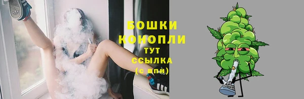 индика Покровск