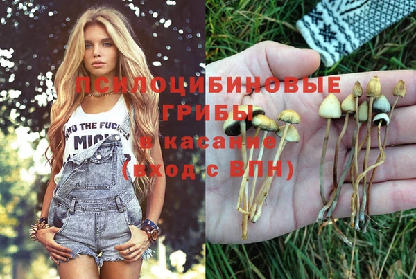 MDMA Premium VHQ Алексеевка