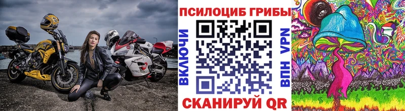 купить Бокситогорск Псилоцибиновые грибы Psilocybe